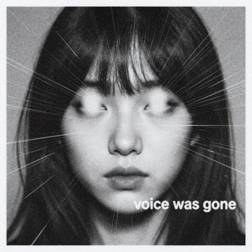 Buy EDM Ghost Production track - Voice Was Gone