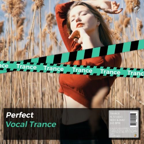 Buy EDM Ghost Production track - Perfect