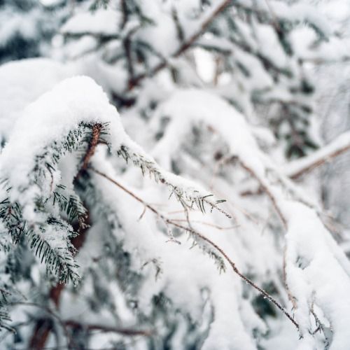 Buy EDM Ghost Production track - Kaspi Progressive