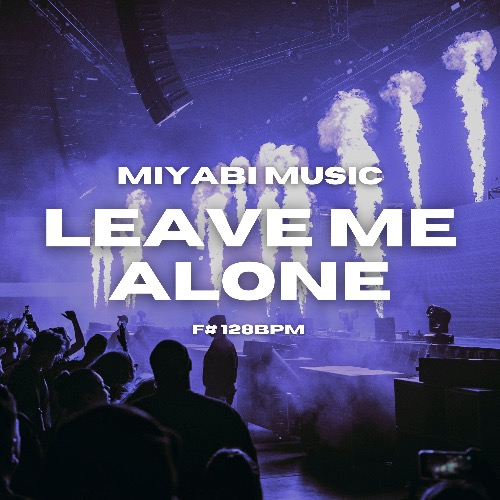 Buy EDM Ghost Production track - Leave Me Alone