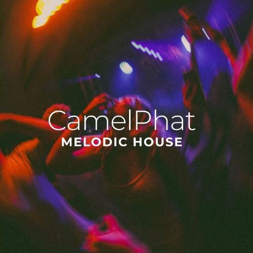 Buy EDM Ghost Production track - Camel Melodic