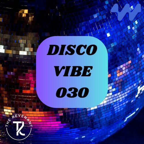 Buy EDM Ghost Production track - Disco Vibe 030