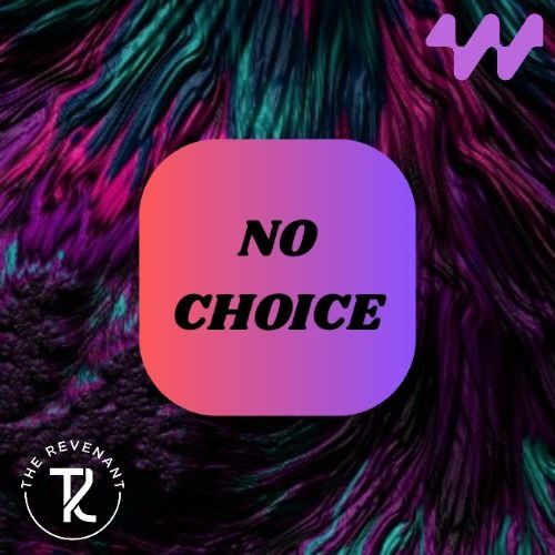 Buy EDM Ghost Production track - No Choice