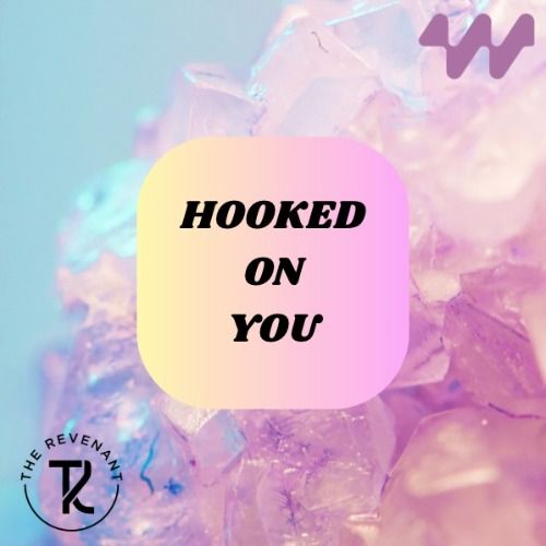 Buy EDM Ghost Production track - Hooked On You