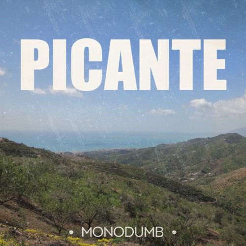 Buy EDM Ghost Production track - Picante