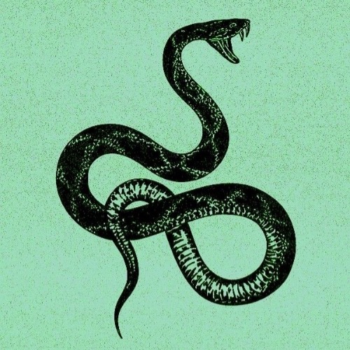 Buy EDM Ghost Production track - Down Low