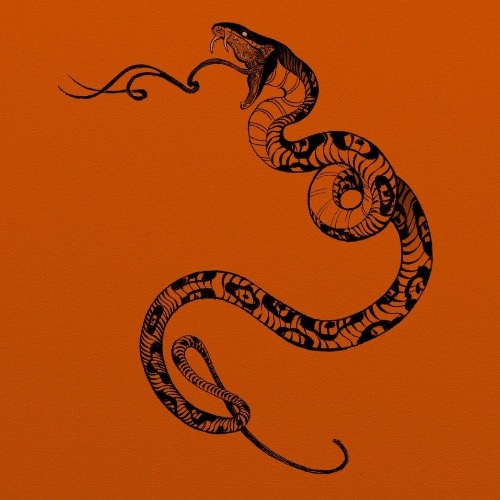 Buy EDM Ghost Production track - My Bass