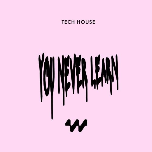 Buy EDM Ghost Production track - You Never Learn