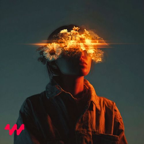 Buy EDM Ghost Production track - Don't Look Back