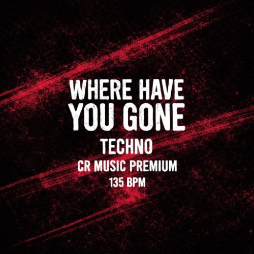Buy EDM Ghost Production track - Where Have You Gone
