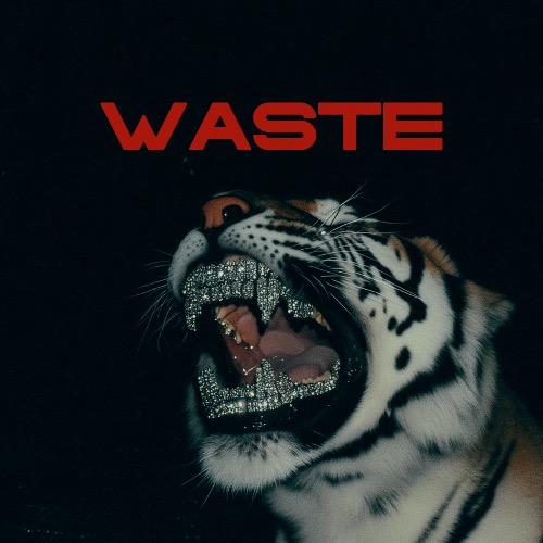 Buy EDM Ghost Production track - Waste