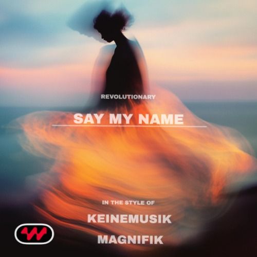 Buy EDM Ghost Production track - Say My Name