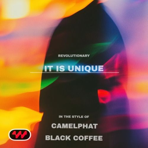 Buy EDM Ghost Production track - It Is Unique