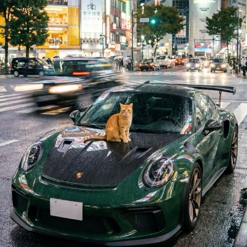 Buy EDM Ghost Production track - Evolution