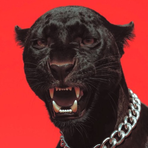 Buy EDM Ghost Production track - Catch Feeling