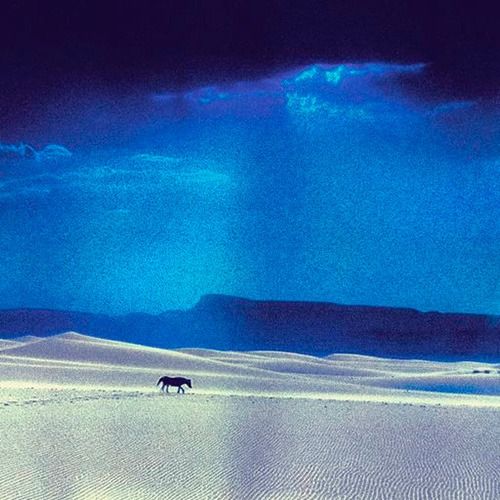 Buy EDM Ghost Production track - E85