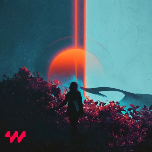 Buy EDM Ghost Production track - Just Feelings