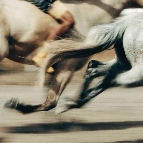 Buy EDM Ghost Production track - Like I Do