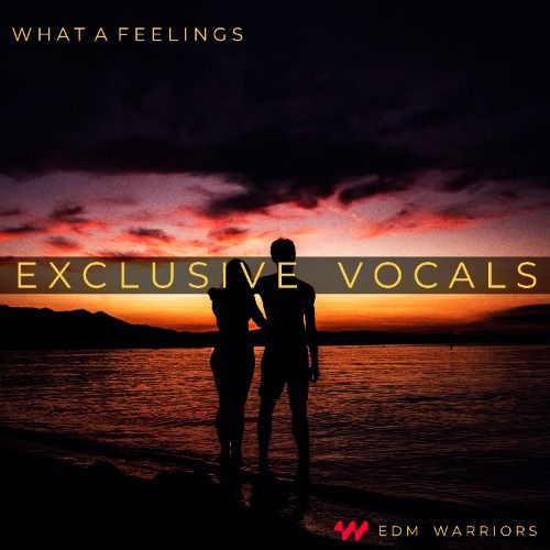 Buy EDM Ghost Production track - What a Feeling