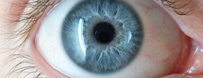 Blueye