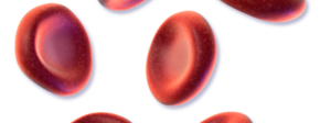 Rode bloedcellen