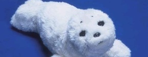 Robot zeehond