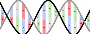 Dna