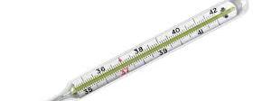 Thermometer