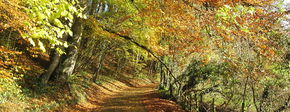 1200px country lane