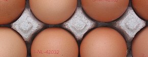 390px eicode nederland