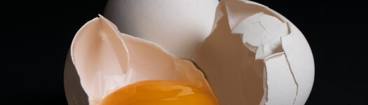 Jasmin egger vwtft o uoa unsplash vierkant