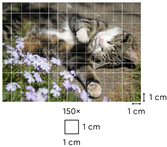 Oppervlakte berekenen