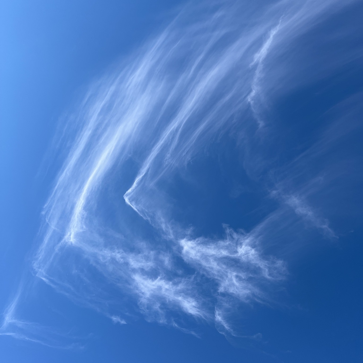 Sluierbewolking