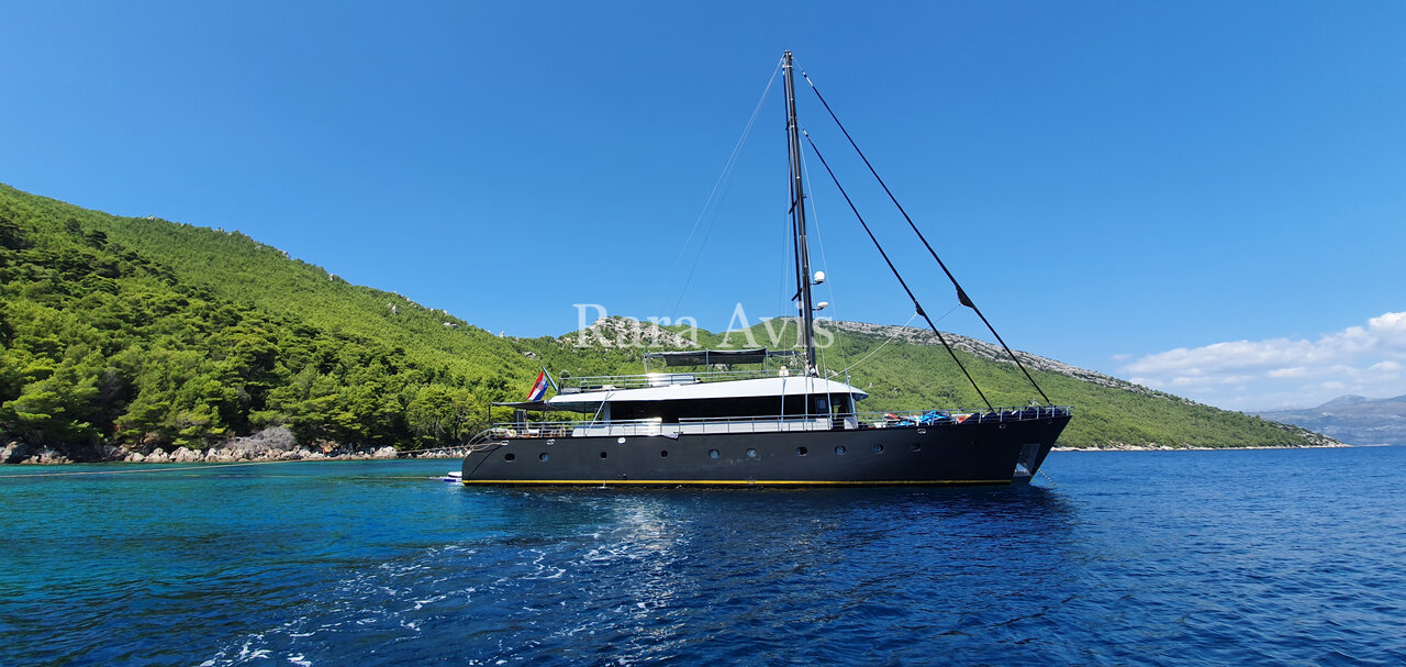 Rara Avis