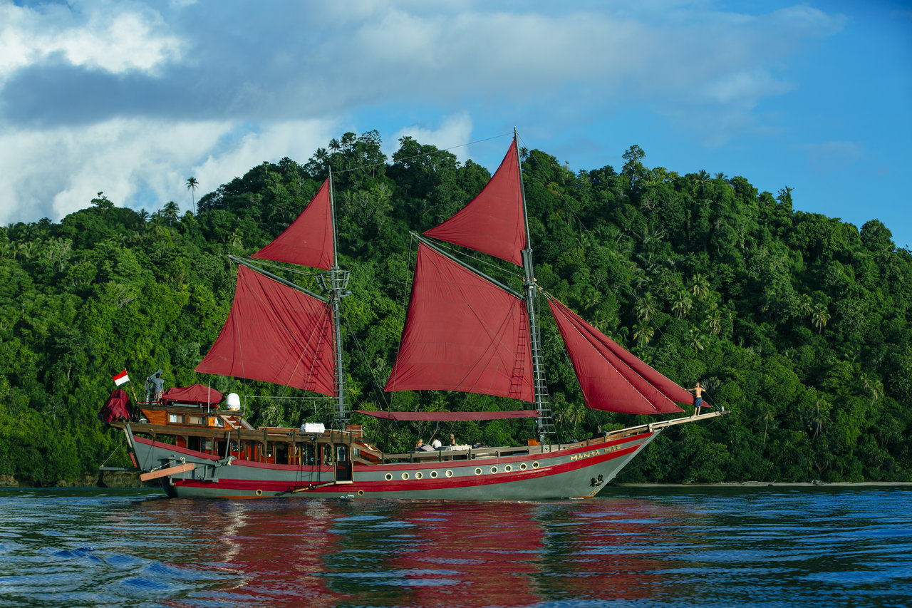 Manta Mae