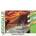1989 Avondale Brochure
