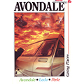 1990 Avondale Brochure