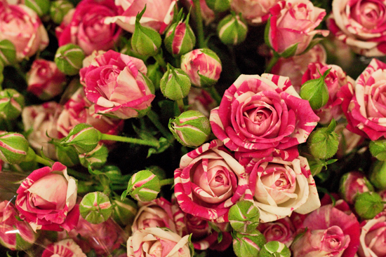 18-New-Covent-Garden-Flower-Market-Flowerona.jpg?mtime=20170928162351#asset:12040