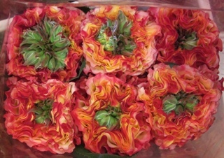 2012-01-Fargo-rose.jpg?mtime=20171003170749#asset:12825