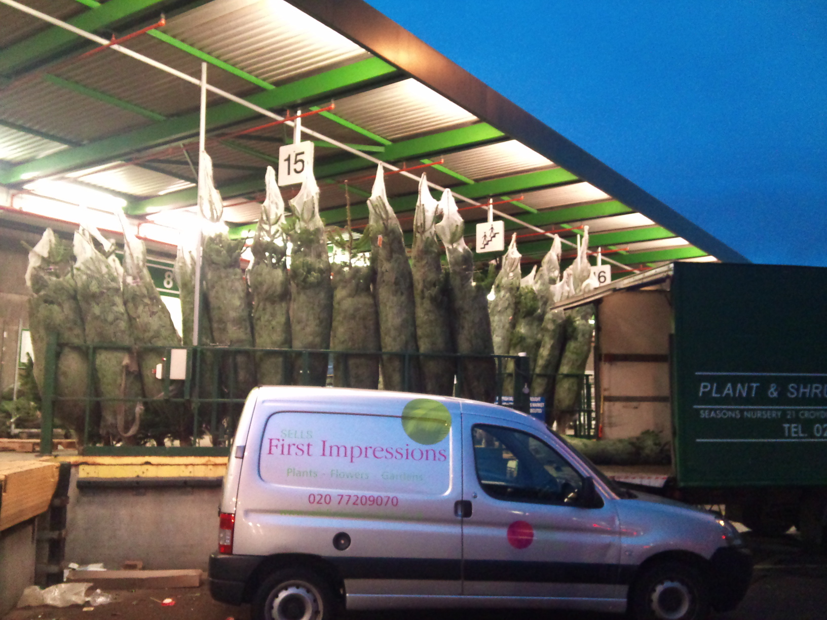 2012-12-fir-trees-unloading.jpg?mtime=20171003154104#asset:12639