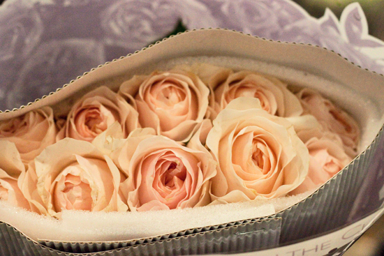 2013-03-23-Juliet-David-Austin-roses-Flowerona.jpg?mtime=20170929144914#asset:12349