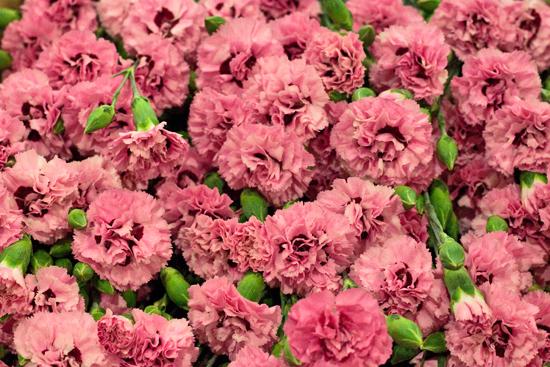 3-New-Covent-Garden-Flower-Market-Flowerona_170929_132903.jpg?mtime=20170929132903#asset:12190
