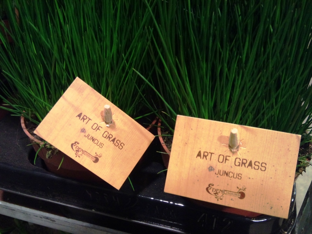 Art-of-Grass.jpg?mtime=20171003165845#asset:12795