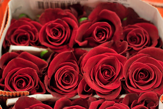 New-Covent-Garden-Flower-Market-February-2014-Market-Report-Flowerona-9.jpg?mtime=20170914103149#asset:10464