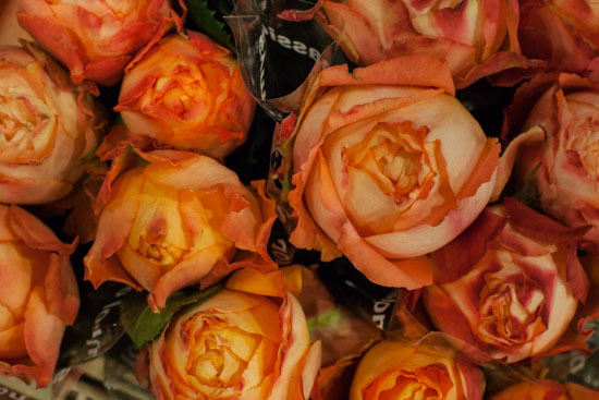 New-Covent-Garden-Flower-Market-January-2015-Market-Report-Flowerona_-17.jpg?mtime=20170908151456#asset:9788