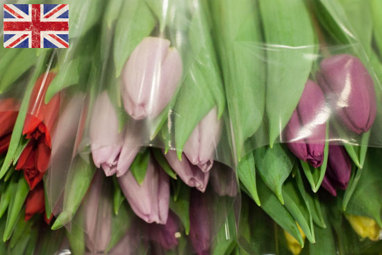 New-Covent-Garden-Flower-Market-January-2015-Market-Report-Flowerona_-2.png?mtime=20170908151450#asset:9773