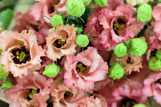 New-Covent-Garden-Flower-Market-November-Market-Report-Flowerona-13.jpg?mtime=20170908154737#asset:9822