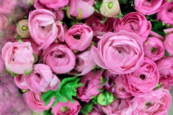 New-Covent-Garden-Flower-Market-November-Market-Report-Flowerona-15.jpg?mtime=20170908154737#asset:9824