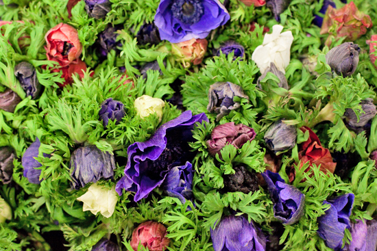 New-Covent-Garden-Flower-Market-November-Market-Report-Flowerona-5.jpg?mtime=20170913112705#asset:9814