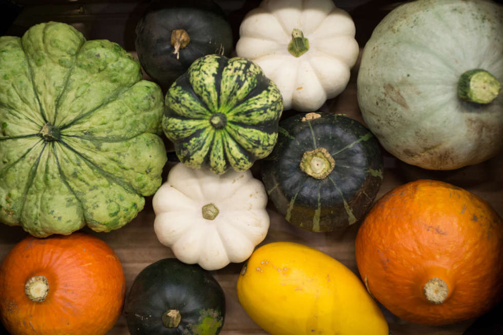 Fruit and veg in season this September